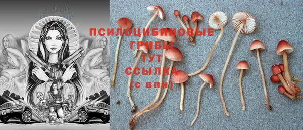 прущий лед Абдулино